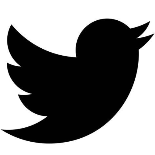 twittervpn加速器vpn Logo